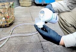 杀蟑饵料、粉剂施放规范