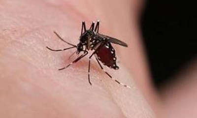 12岁江西女孩昏迷20天，谨防蚊虫！