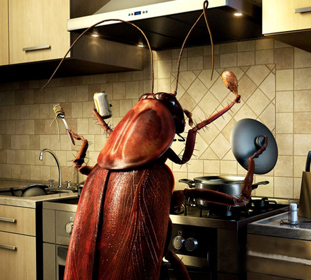 “世界害虫日”形象标识LOGO设计征集公告